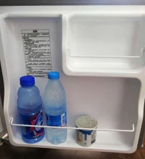 Caisleán ABS Taobh istigh Refrigerator Snasta Bán